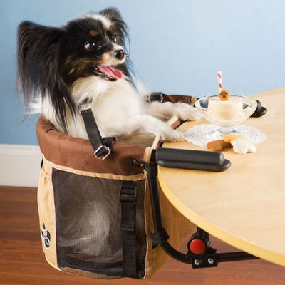 table dog.jpg (30 KB)